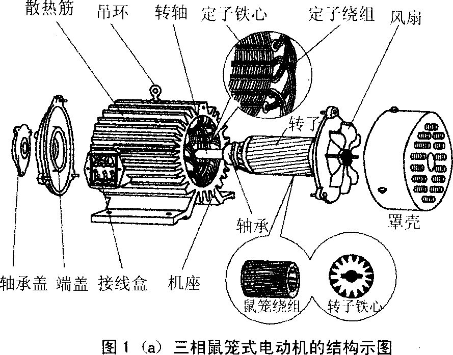 三相鼠籠式電動機結構圖.gif